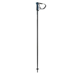Head Head Frontside Ski Pole - Anthracite/Blue